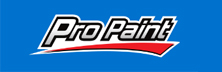 Pro Paint