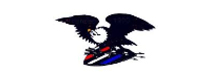 American Precision Electronics