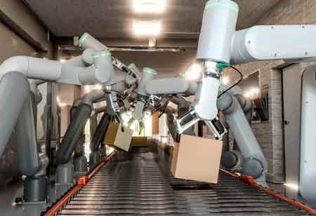 The Conveyor Belt as a Catalyst for Industrial Progress The Conveyor Belt as a Catalyst for Industrial Progress