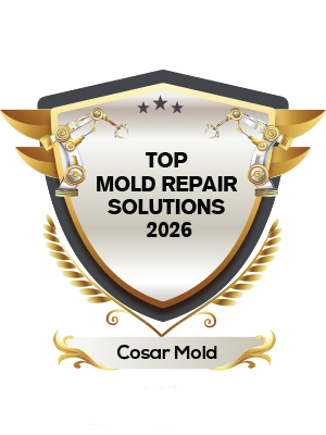 Top Mold Repair Solutions 2026